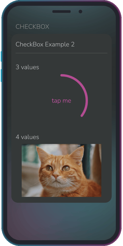 Screenshot of the app showing the results of the sample code from Example 2.