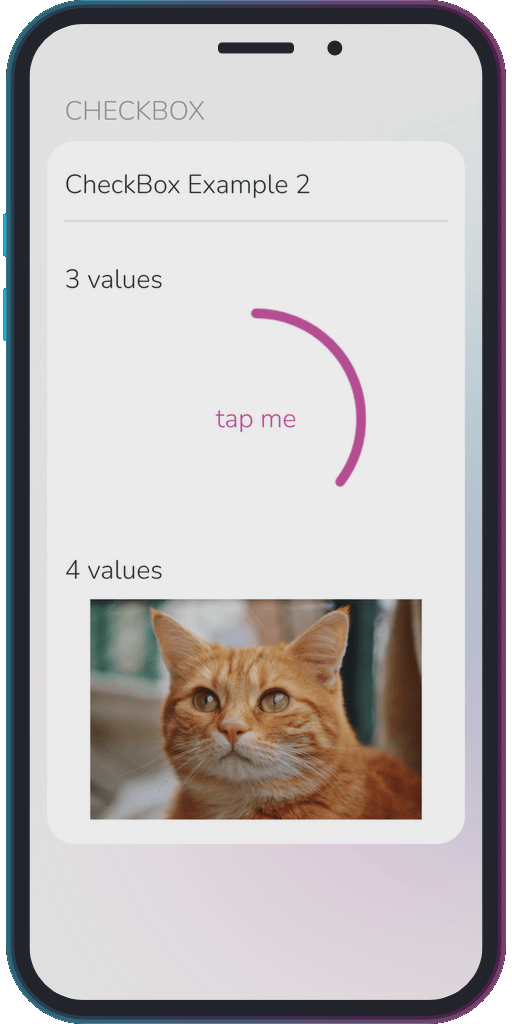 The app showing the results of the sample code from Example 2.