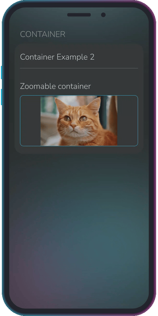 Screenshot of the app showing the results of the sample code from Example 2.