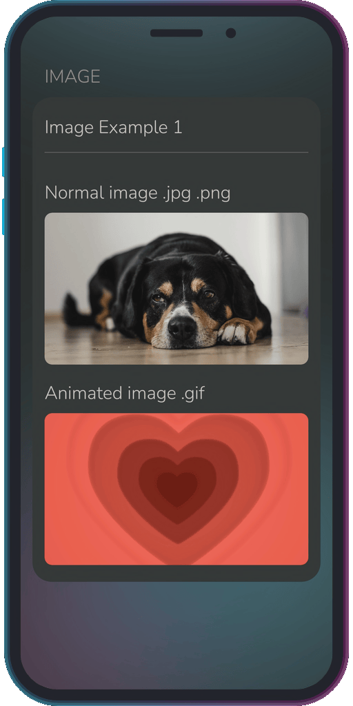 The app showing the results of the sample code from Example 1.