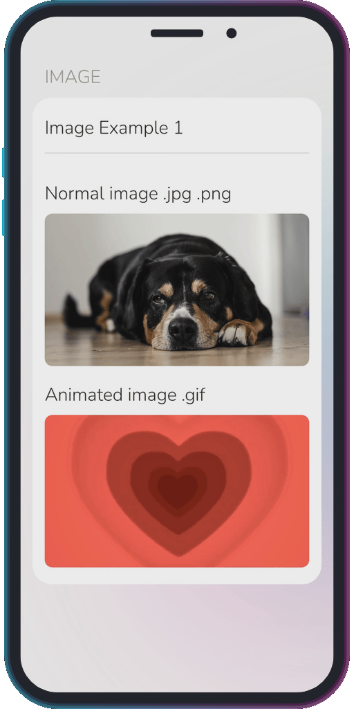 The app showing the results of the sample code from Example 1.