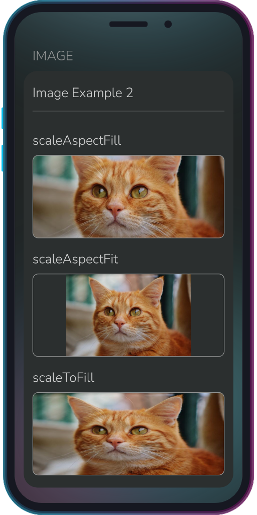 The app showing the results of the sample code from Example 2.