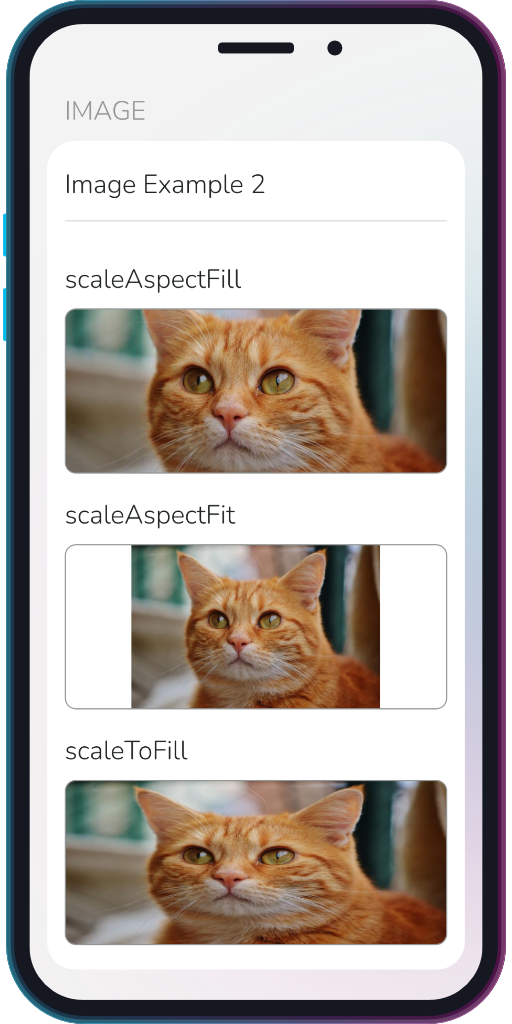 The app showing the results of the sample code from Example 2.