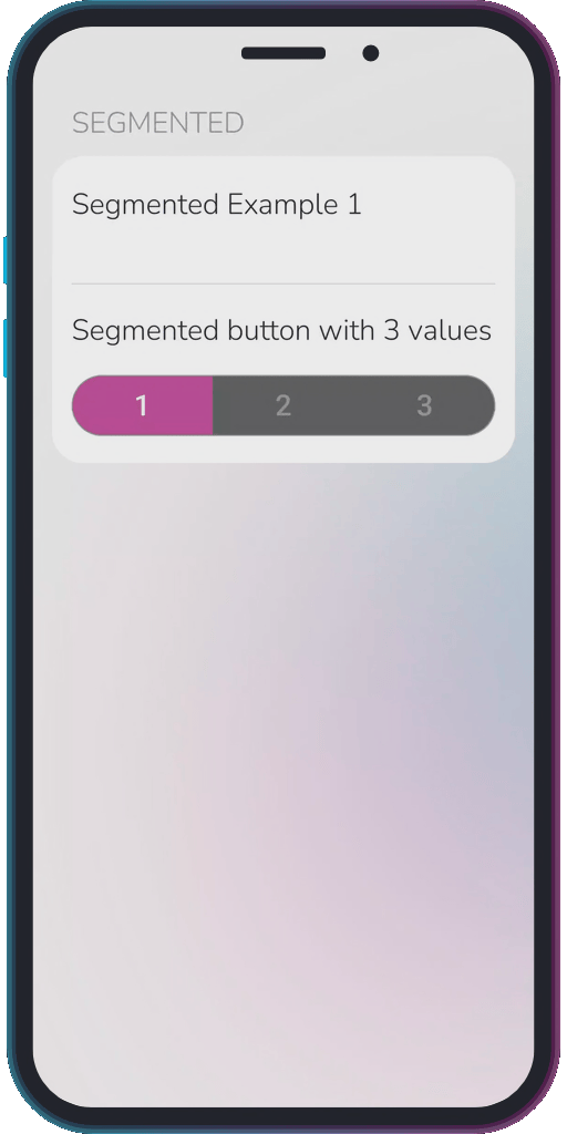 The app showing the results of the sample code from Example 1.