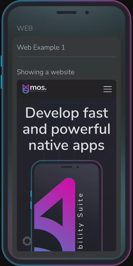 Screencapture of the app showing the results of the sample code from Example 1.