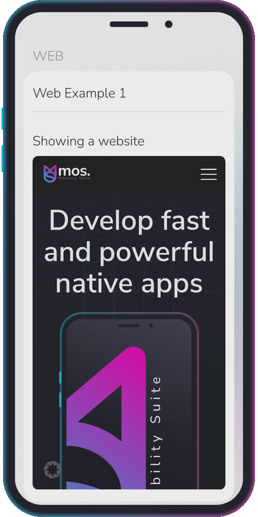 Screencapture of the app showing the results of the sample code from Example 1.