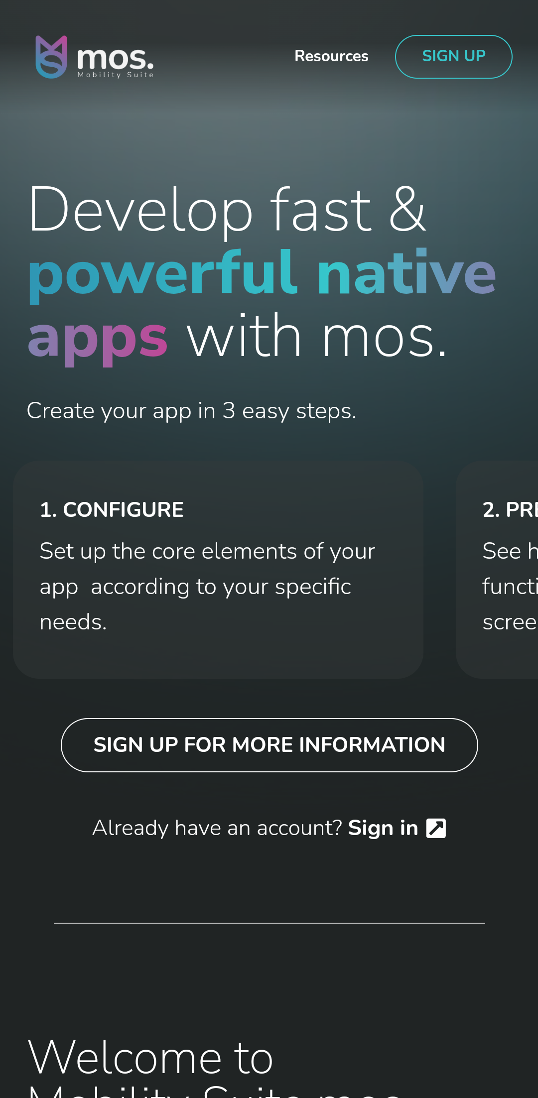 Screenshot of the app showing the results of the sample code from Example 1.